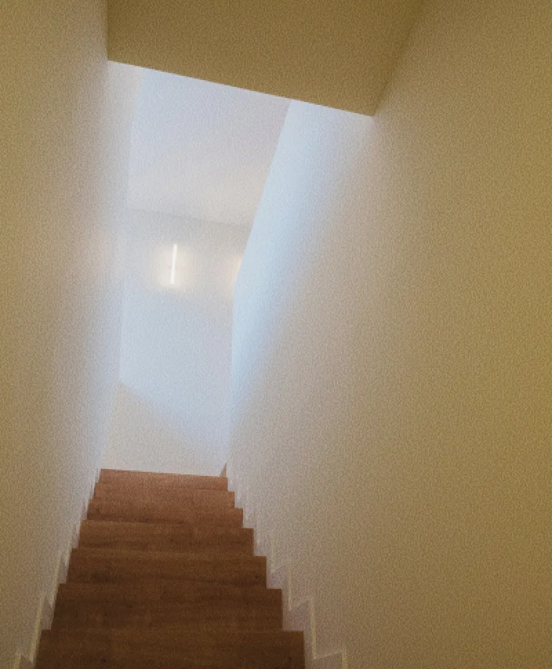 Fotografía en ángulo nadir de una escalera de madera en un espacio minimalista con iluminación suave y arquitectura de líneas limpias.