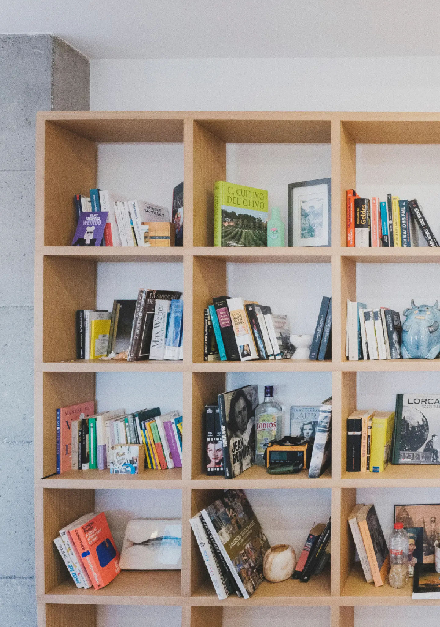 Una estantería de madera llena de libros de todo tipo, fotos enmarcadas y objetos decorativos, entre los que destaca una escultura de un toro azul. La escena es luminosa y ordenada.