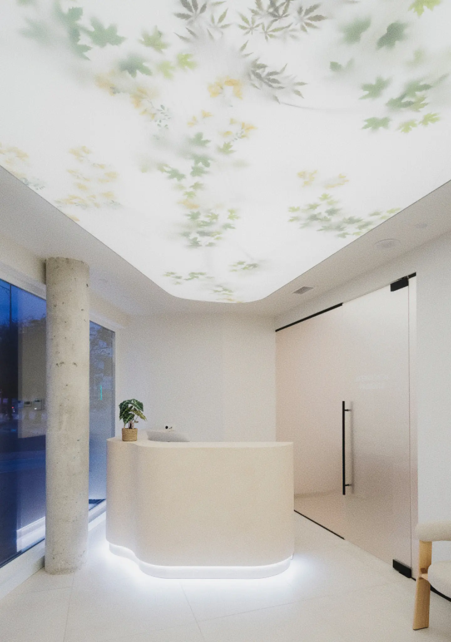 Sala de espera de estilo minimalista con un mostrador de recepción curvo de color blanco con iluminación LED inferior, a un lado se ve el cristal de la fachada y al otro una puerta de cristal esmerilado de acceso a consulta. En el techo hay una plancha traslúcida retroiluminada donde se reflejan ramas y hojas.