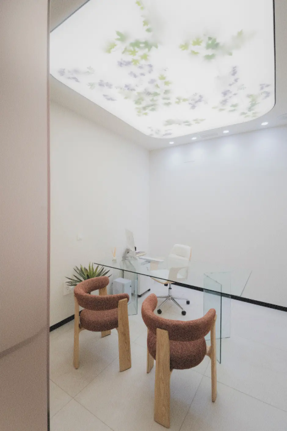 Oficina luminosa con un escritorio de cristal, dos sillas de madera con tapicería caldera y una silla blanca para el personal. El techo presenta motivos florales, lo que crea un ambiente tranquilo.
