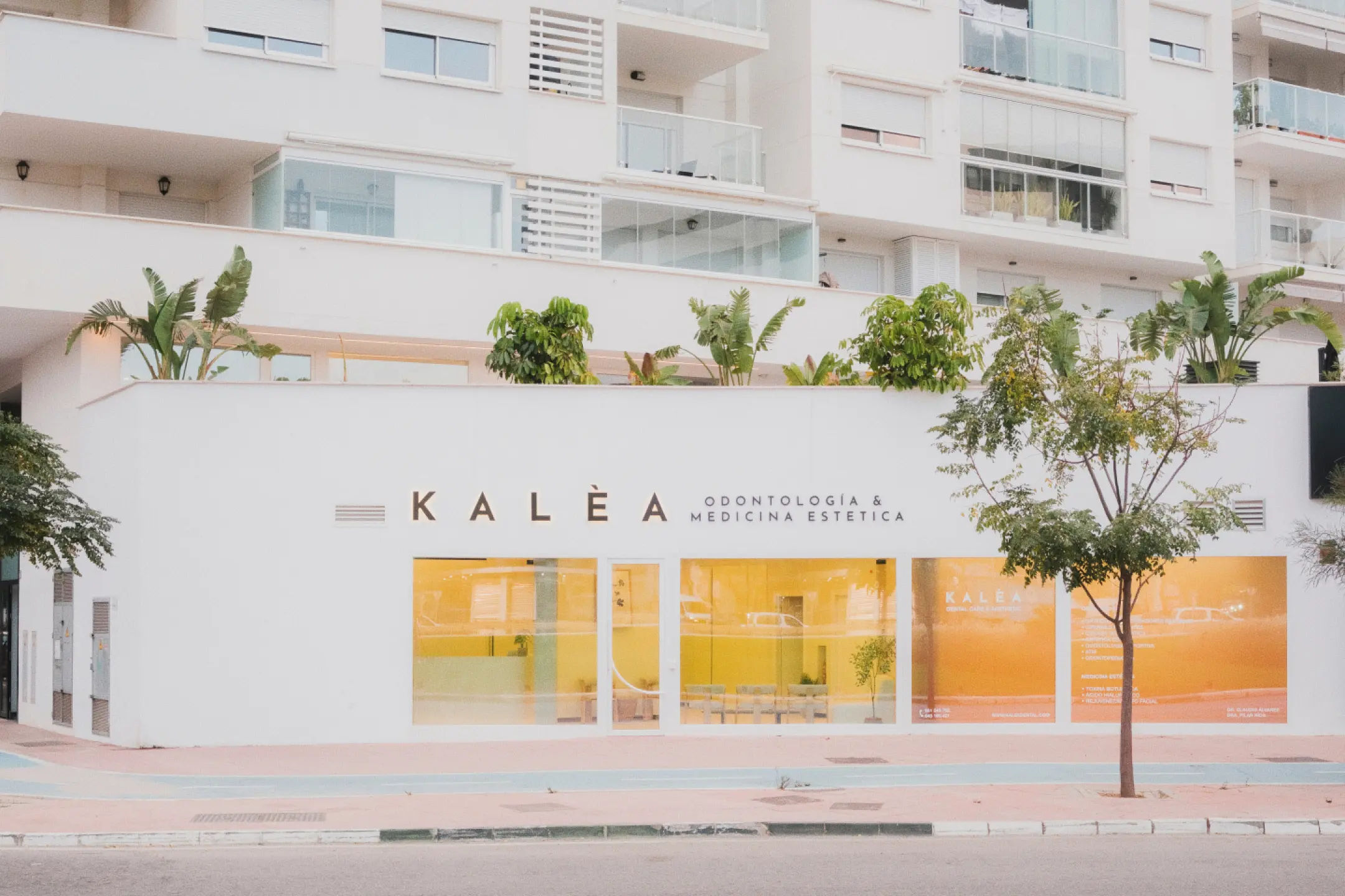 Fachada de Clínica Kalèa, de odontología y medicina estética, en blanco con amplios ventanales y un interior en tonos cálidos y acogedores. Plantas verdes adornan la azotea, aportando frescura.